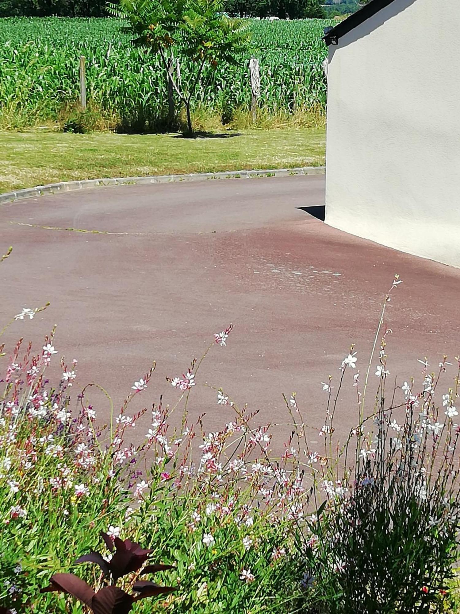 Bed and Breakfast Kerlan 5 Béganne Exterior foto